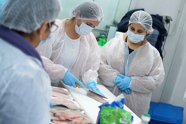 Provenientes de Toltén: pescadores artesanales se capacitan en la elaboración de recursos marinos con valor agregado