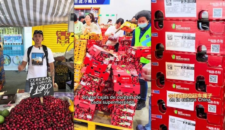 Chileno revela el “furor” de los chinos por las cerezas: Un fenómeno cultural que trasciende fronteras