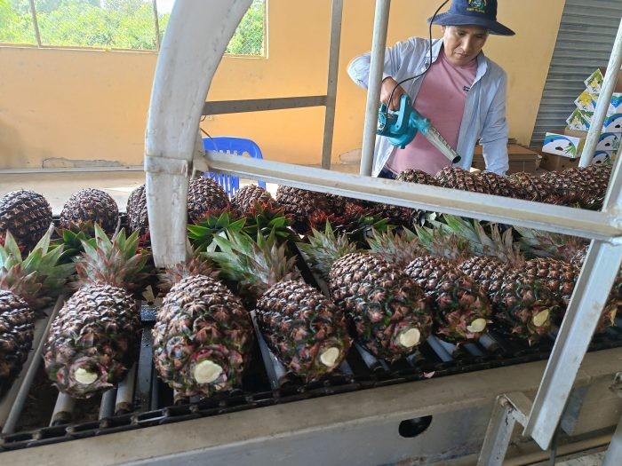 Bolivia fija protocolos que mejoran condiciones de acceso de productos al Mercosur