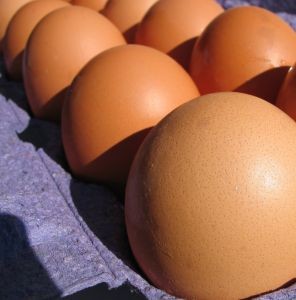 Producción de huevos de consumo presentó un aumento interanual de 5,4% en septiembre de 2024