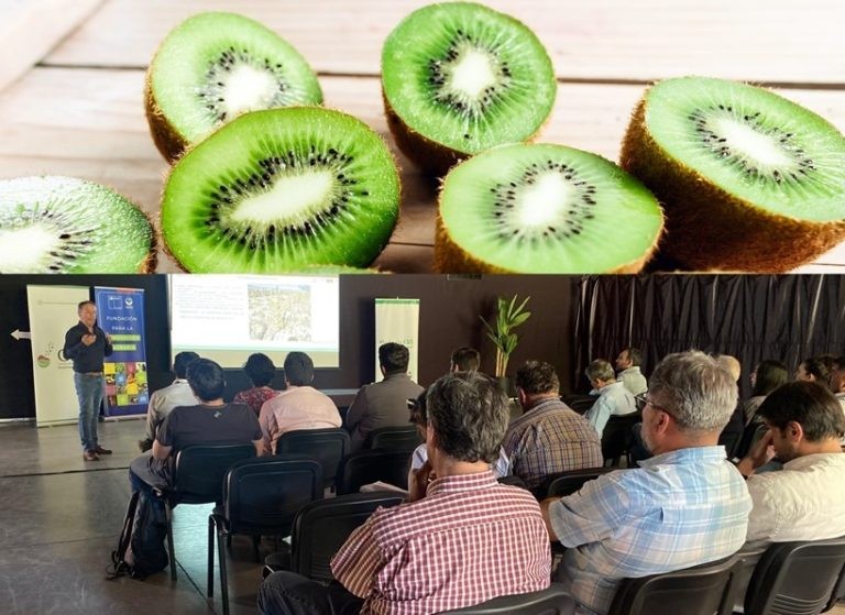 Expertos en producción de kiwi abordan amenazas y oportunidades de este cultivo en Chile