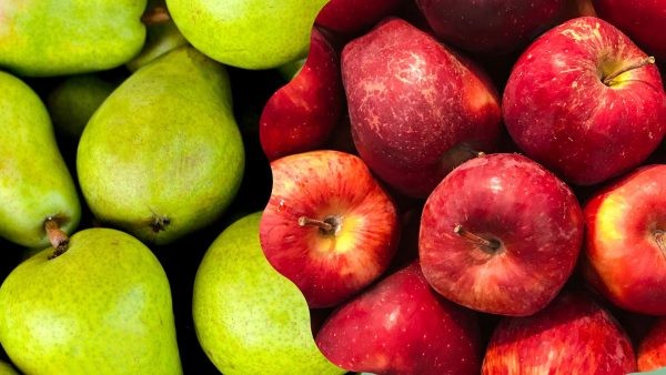 Argentina: Proyectan ligera alza de exportaciones de manzanas y peras