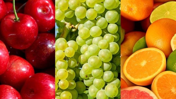 Coquimbo: Frutas de Chile destaca resolución del SAG que declara erradicada mosca de la fruta y levanta áreas reglamentadas en Ovalle, Punitaqui y Monte Patria