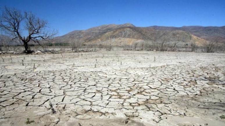 Perú: La crisis hídrica en Piura pone en grave riesgo cultivos de arroz, plátano, limón y mango