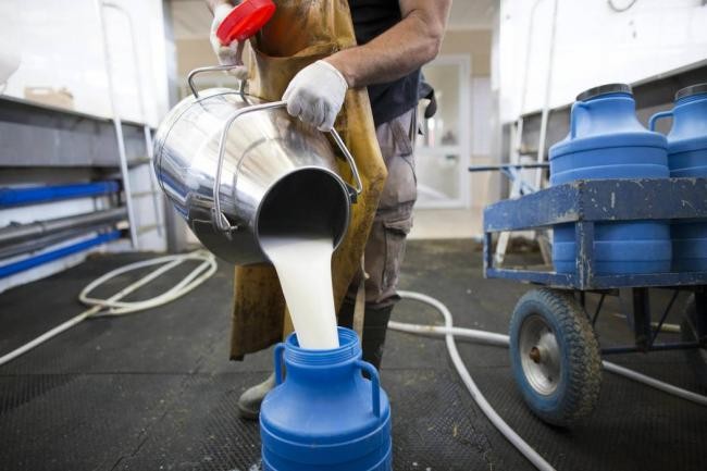 Elaboración láctea registra comportamiento mixto a septiembre