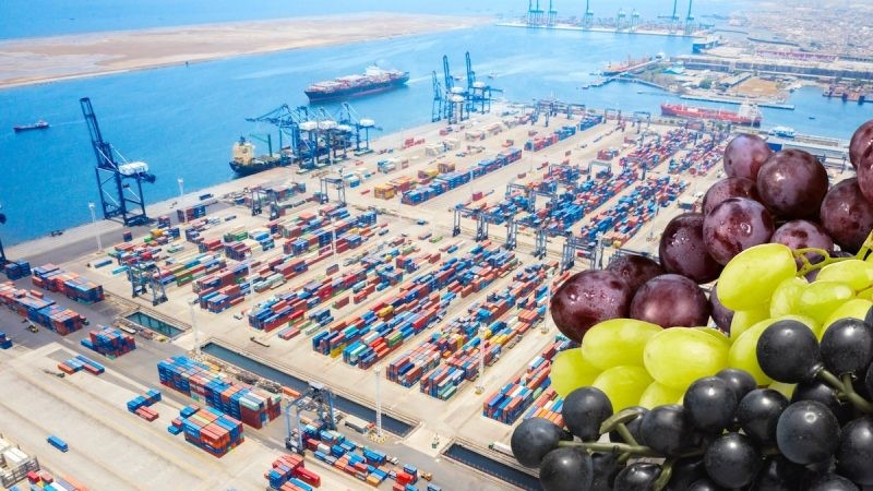 Fruteros celebran renovación del Sistema de Inocuidad de Chile por parte de Indonesia