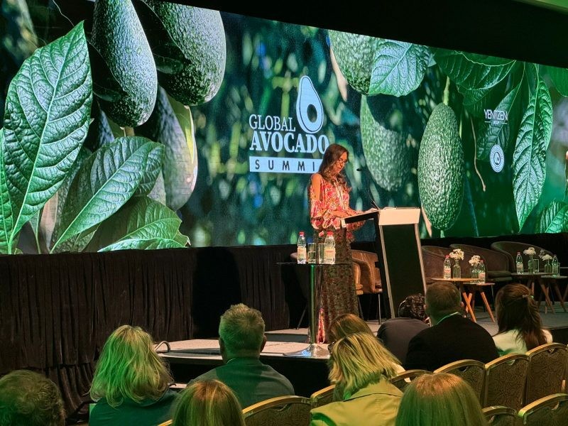 Global Avocado Summit 2024: El 63% del gremio de la palta realiza reportes de sostenibilidad y 92% avanza en eficiencia hídrica