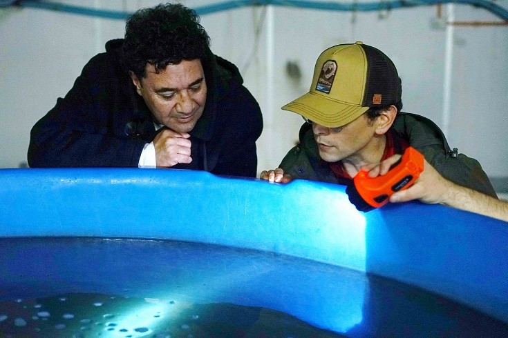 Avanzan en la implementación del PTEC Ostra Japonesa en la región de Los Lagos