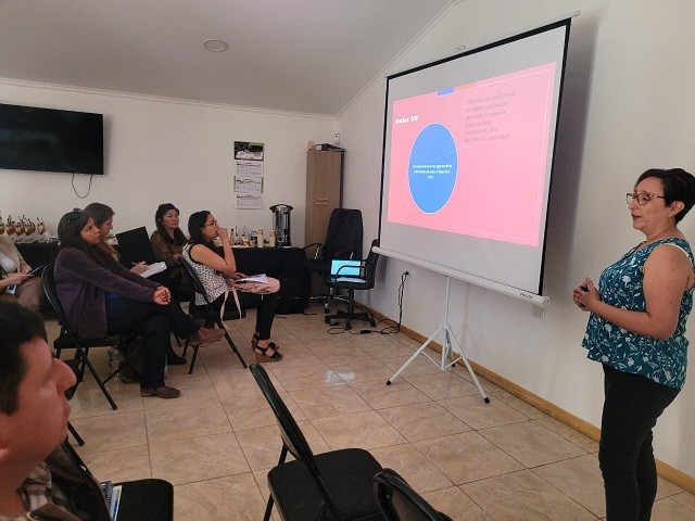 Regantes del Huasco y servicios del agro presentan herramientas para fomentar la eficiencia hídrica en Comisión Regional de Riego de Atacama