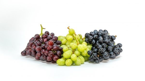China abre sus puertas a las uvas de mesa de Brasil