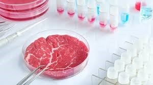 ¿Una hamburguesa simulada? El proyecto de ley Foodtech