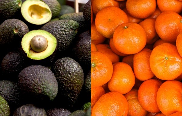 Primeros meses de campaña 2024-2025: Paltas y mandarinas lideran envíos