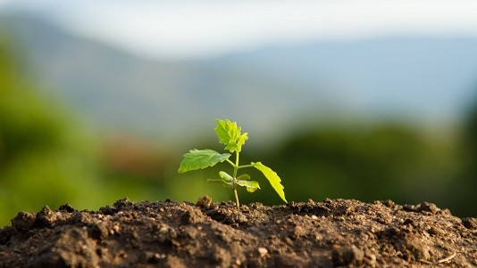 INIA y Anasac Chile fortalecen alianza estratégica para el desarrollo de soluciones agrícolas sostenibles