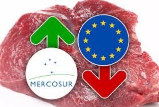 141.579 t de vacuno y 71.881 t de aves, las cifras de carne que la UE importa desde el Mercosur