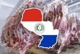 Carne exportada por Paraguay en noviembre con el valor más alto en 13 años: ¿cuánto cotizaba el en 2011?