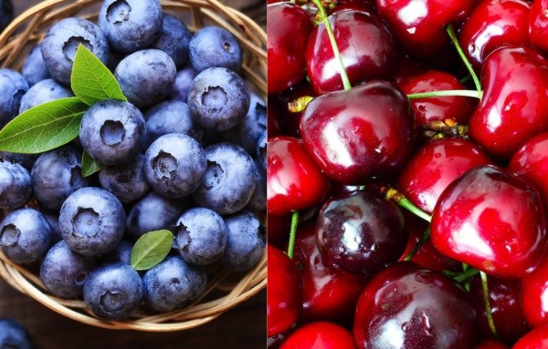 Turquía: Apuestan por impulsar la producción de arándanos y cerezas