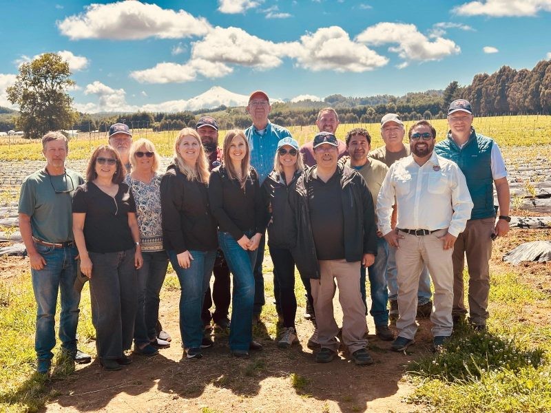 Representantes del North American Blueberry Council visitan Chile con la finalidad de intercambiar experiencias en el recambio varietal