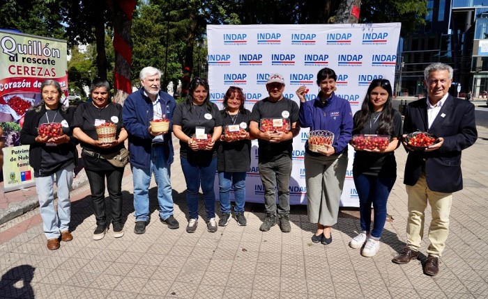 Pequeños productores de Ñuble invitan a regalar cerezas Corazón de Paloma para esta Navidad