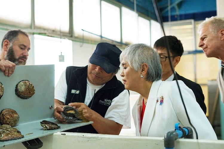 Embajadora de Japón visitó las dependencias de Fundación Chinquihue