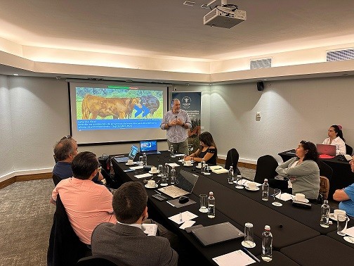 PTI de la Carne Bovina Los Lagos cierra 2024 con nuevas propuestas para fortalecer la producción ganadera