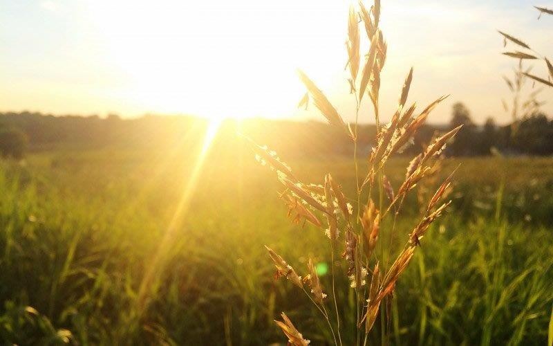 Catalina Cortés, meteoróloga de la DMC: “La Niña aún podría llegar y, para ello, el agro debe estar bien informado de los pronósticos agrometeorológicos”