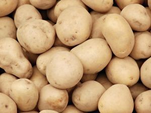 La biotecnología promete papas más resistentes a las altas temperaturas