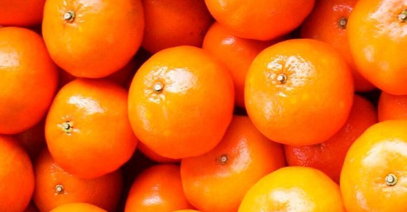 Exportaciones peruanas de mandarinas alcanzaron las 230.038 toneladas por US$ 300 millones en 2024, mostrando un alza de 19% en volumen y 35% en valor