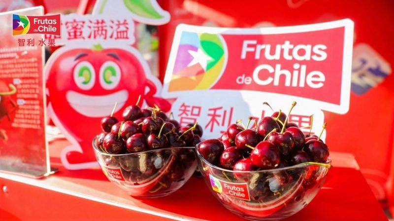 Trabajo conjunto público – privado para una exitosa temporada de cerezas