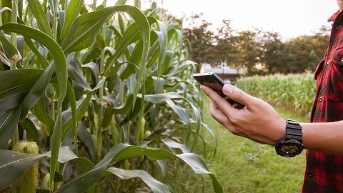 El rol de la Inteligencia Artificial (IA) en el futuro alimentario y la transformación de la agricultura en la Región de Valparaíso