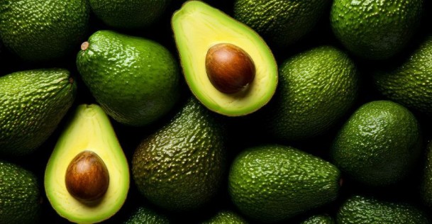 Exportación de palta peruana creció en valor a pesar de la caída en volumen