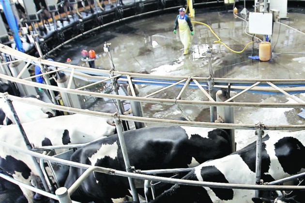 Optimismo en el sector: Se proyecta alza de producción para 2025