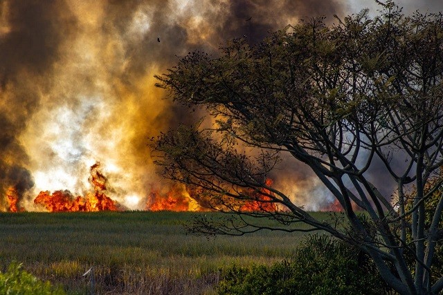 Corredores de seguros destacan la importancia de la prevención y protección frente a incendios forestales