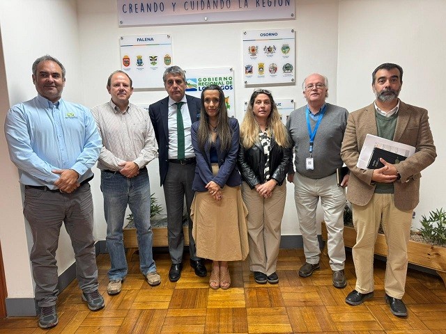 Programa Territorial Integrado de la Carne Bovina Los Lagos busca fortalecer lazos con el Gobierno Regional para potenciar el sector ganadero