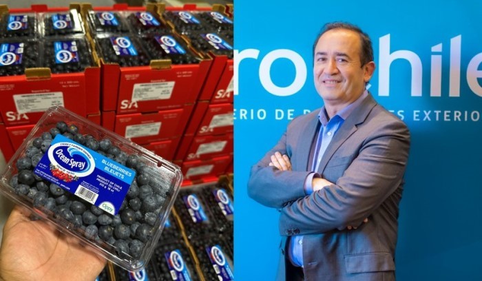 ProChile: “Europeos valoran calidad de los arándanos exportados por Chile”