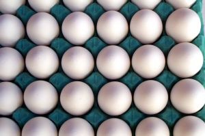 La producción de huevos de consumo presentó un aumento interanual de 2,3% en enero de 2025