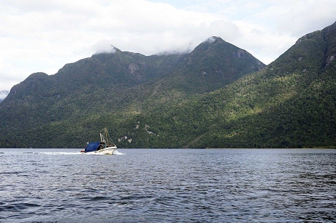 Convocan a pescadores bentónicos de Aysén a integrar el Comité de Manejo Birregional