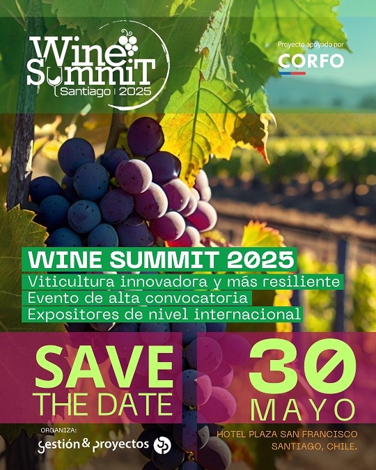 Santiago será sede de Wine Summit 2025 que apuesta a un sector vitivinícola innovador y resiliente