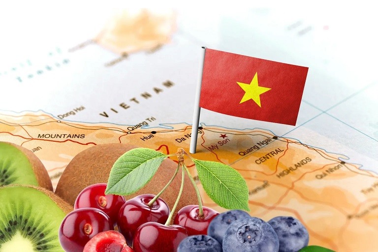 Frutas de Chile: Kiwis en proceso de ingreso al mercado de Vietnam. Próxima fruta a negociarse sería el arándano