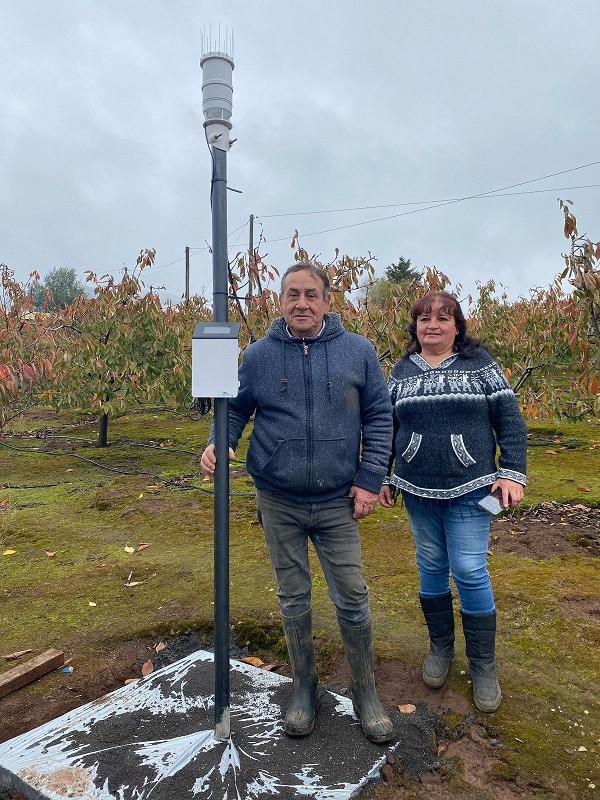 Con instalación de estaciones meteorológicas buscan mejorar competitividad de productores de cereza “Corazón de Paloma” de Quillón