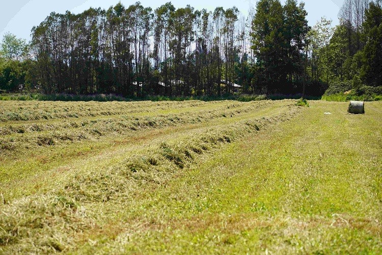 INDAP Biobío invertirá 334 millones de pesos en recuperación de suelos degradados