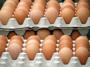 Producción de huevos de consumo presentó una disminución interanual de 0,7% en abril de 2025
