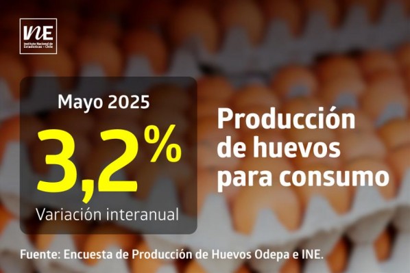 La producción de huevos de consumo presentó un aumento interanual de 3,2% en mayo de 2025