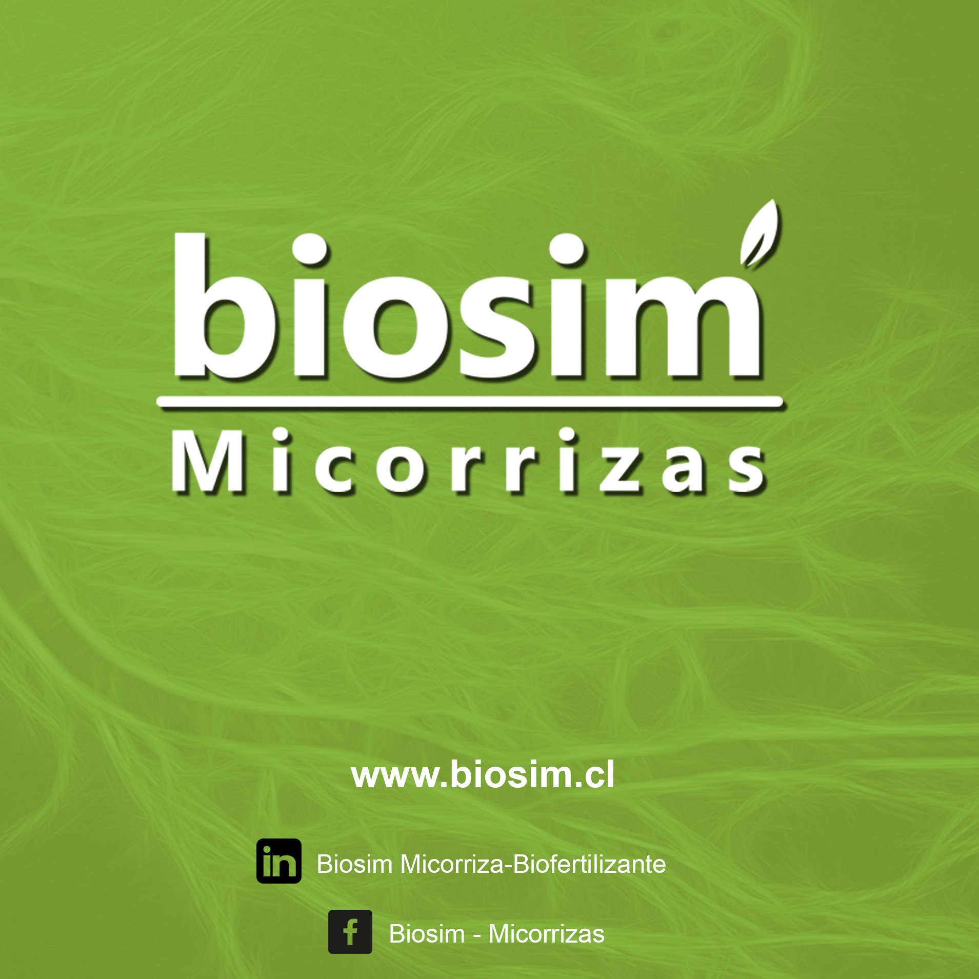 BIOSIM